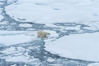 svalbard