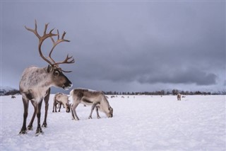 Svalbard