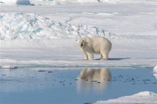 Svalbard