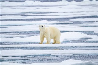 Svalbard