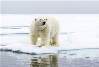 Svalbard