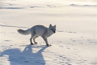 スバールバル諸島