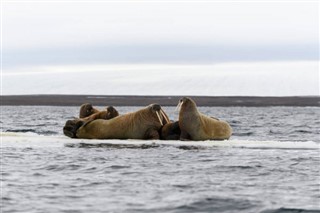 Svalbard