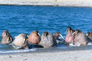 スバールバル諸島