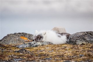 スバールバル諸島