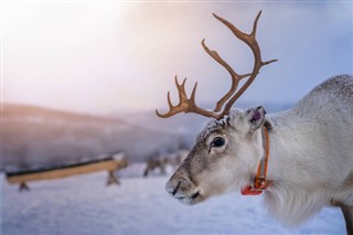 Svalbard