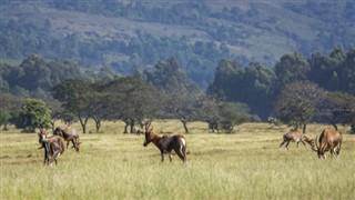 Suazilândia