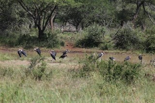 Suazilândia