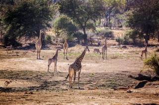 Suazilândia