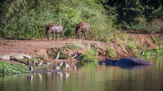 Swaziland