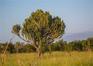 Suazilândia