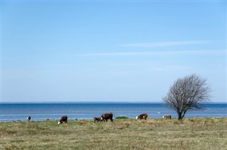Zviedrija