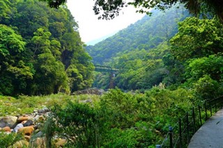 台湾