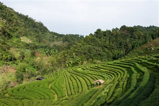 台湾