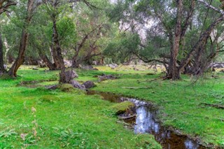 طاجيكستان