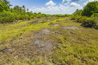 Tanzania