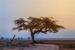 Tanzania