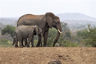 Tanzania