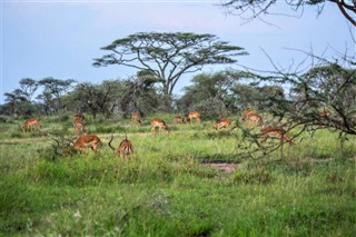 Tanzania