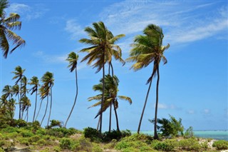 Tanzanie