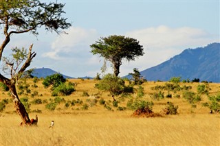 تنزانيا