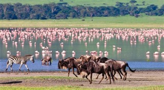 Tanzanie