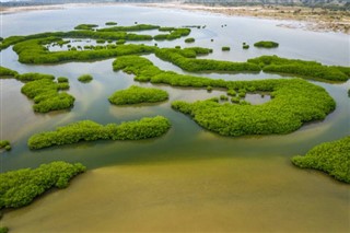 তাঞ্জানিয়া