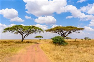 Tanzanie