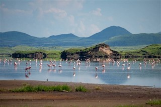 তাঞ্জানিয়া