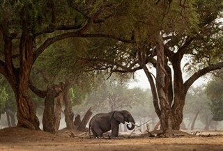 Tanzanie