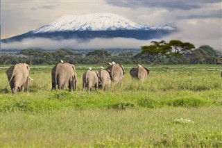 Tanzanija