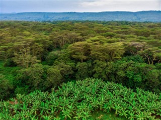 Tanzānija