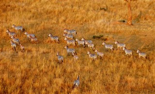 Tanzanie