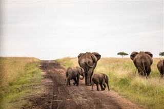 Tanzania