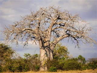 Tanzanija