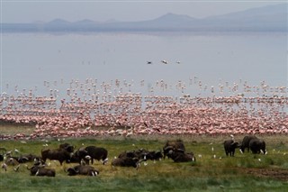 Танзанија