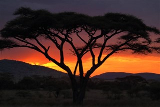 Tanzānija