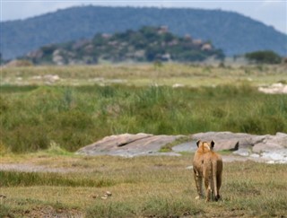 Tanzānija