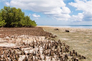 Tanzanija