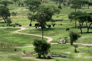 Tanzanie