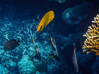 トケラウ諸島