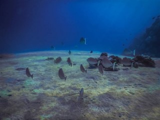 トケラウ諸島