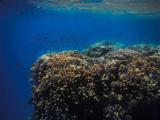 トケラウ諸島