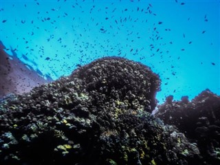 Tokelau