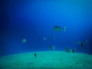 トケラウ諸島