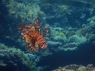 トケラウ諸島