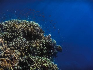 トケラウ諸島