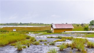 ত্রিনিদাদ