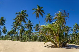 Trinité-et-Tobago