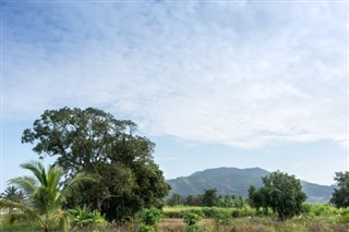 Trinidad